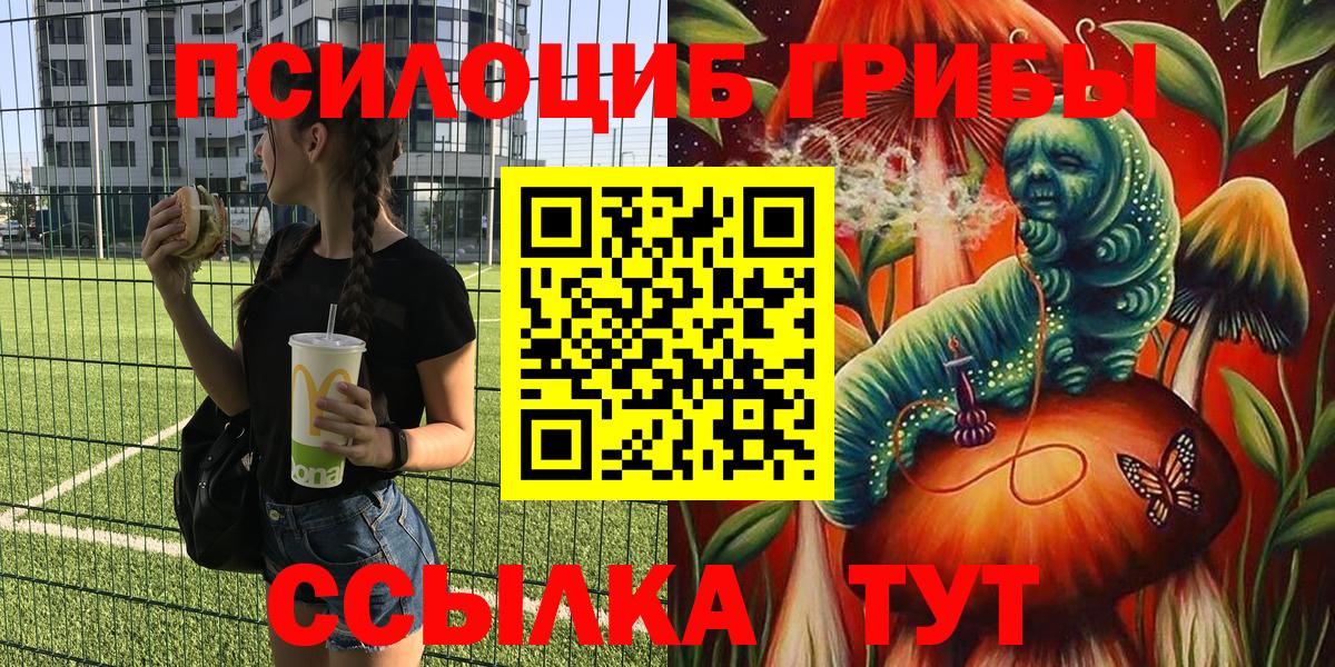 Галлюциногенные грибы мицелий  Вход с VPN  Кириши 