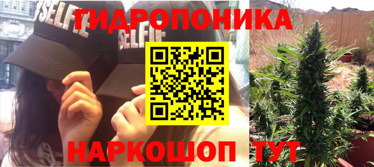 Каннабис план  Вход с VPN  Бошки Шишки гибрид  Канабис THC 21%  Кириши  Канабис тримм 